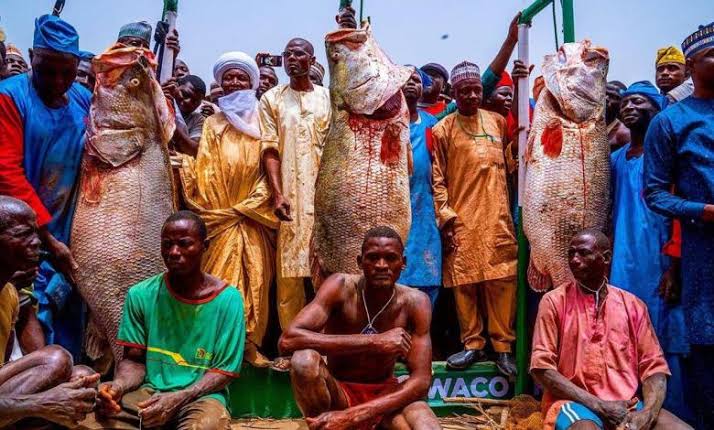 Men pose with big fishes at Argungu festival 